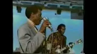 T- Bone Walker with Chuck  Berry - Everyday I Have The Blues