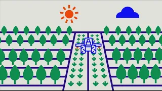 Agroforesterie : quand la nature devient rentable