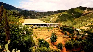 The Greek Travel Scene ~ Botanical Park of Crete Adventure Tour