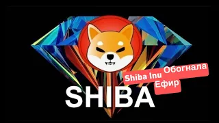 SHIBA INU КРИПТОВАЛЮТА ОБОГНАВШАЯ ЭТЕРИУМ