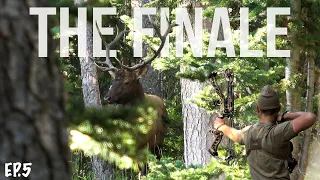 Big Bull on the Last Day of the Hunt (Day 9) | Colorado OTC Archery Elk Hunt