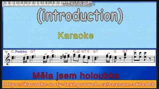 Měla jsem holoubka  karaoke