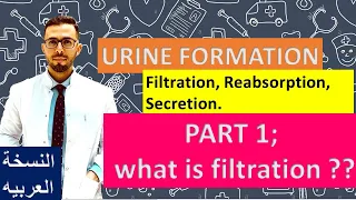 (بالعربي) URINE FORMATION (Filtration, Reabsorption, Secretion)  PART 1; what is filtration ???