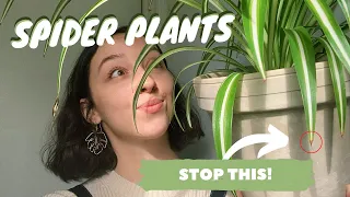 SPIDER PLANT CARE + PROPAGATION | why the tips of your spider plant are turning brown!