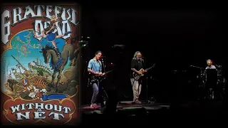 Without A Net (Video Album) - Grateful Dead