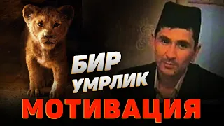 Abdulloh Domla 2023~МОТИВАЦИЯ сизни жасур қиладиган видео!~Абдуллох Домла 2023 #abdullohdomla