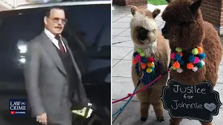 Johnny Depp Says "It's Alpaca Day" When Leaving Court on Thursday