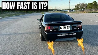How Fast Is A 2001 Ford Mustang GT Full Bolt Ons - Are New Edge Mustangs Fast?