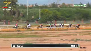 Live Hippodrome « Marrakech » | Courses du « 12/05/2019 »