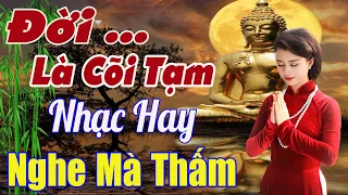 Đời Là Cõi Tạm, Quán Trọ Trần Gian...Mở Nhẹ Nhàng Liên Khúc Rumba Nhạc Hay Mà Thấm Thía Vô CÙNG.