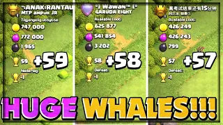 How To Find Huge Whales Like 59 Trophies!!! - Th7 Legend Pushing || Clash of Clans