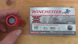 Whats inside a Winchester 1oz rifled slug?