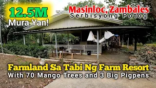 Farm for Sale Malapit sa Sikat Na D' Farm | Masinloc, Zambales