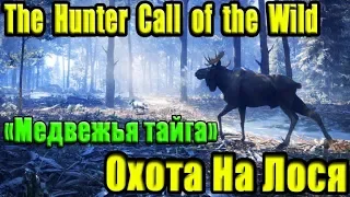 The Hunter Call of The Wild - Медвежья тайга - Охота на Лося