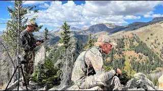 Backcountry Wyoming Mule Deer Hunt