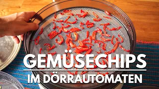 Gemüse Chips im Dörrautomaten selber machen - Rote Beete, Rettich, Tomate und Gurke