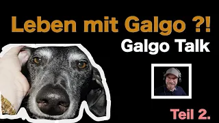 Leben mit Galgo  - Galgo-Talk -  Teil 2