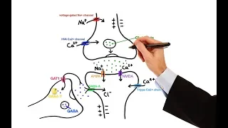 Pharmacology - ANTIEPILEPTIC DRUGS (MADE EASY)