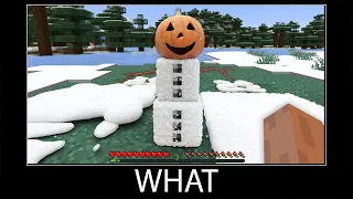 Minecraft wait what meme part 195 realistic minecraft Snow golem