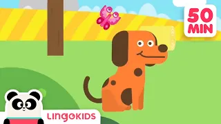 BINGO THE DOG 🐶 More Popular Songs for Kids | Lingokids
