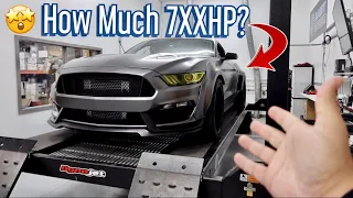 BAT-STANG my ProCharged Mustang GT Hits the DYNO! *Base 93 Tune