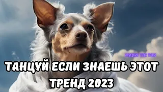 💗ТАНЦУЙ ЕСЛИ ЗНАЕШЬ ЭТОТ ТРЕНД 2023💗