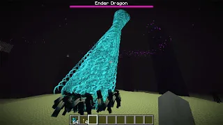 100 wardens vs ender dragon (1.19 version)