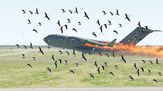 Worst Military Aircraft C-17 Take Off When During Massive Bird-Strike | XP11