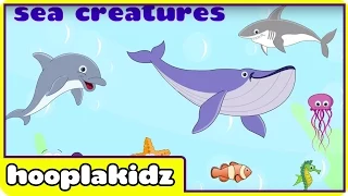 Preschool Activity | Learn About Sea Creatures | HooplaKidz