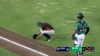 Duck, duck, loose: 2 ducklings crash Tides game