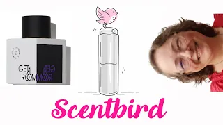 More SCENTBIRD ~ Unboxing & Review