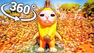 BANANA CAT 50,000 TIMES! 360° video | VR / 8K | ( Banana Cat Meme )