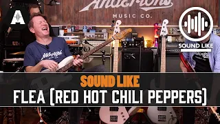 Sound Like Flea From Red Hot Chili Peppers! - All About The Bass