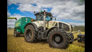 Claas Taxi in der Getreideernte/ 3x Claas Lexion/ 2xClaas Lexion 770tt/ Claas Lexion 740