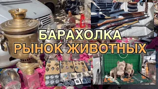 БАРАХОЛКА И РЫНОК ЖИВОТНЫХ ЧАСТЬ 2