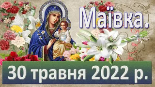 Маївка. 30 травня 2022 р.