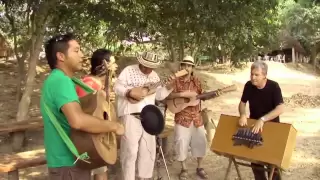 el buscapiés- son jarocho sureño