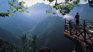Video corto de naturaleza bella 720p HD