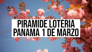 🔰🔰 Pirámide Lotería de Panamá Miércoles 1 de Marzo 2023  - Pirámide de TropiQ y el Makumbero