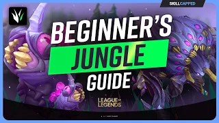 The COMPLETE Beginners Guide to JUNGLE for SEASON 14 - League of Legends