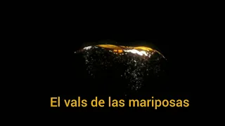 El vals de las Mariposas- version  extendida - Danny Daniel 9181002