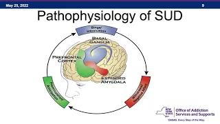 Substance Use Disorders: Our Colleagues? Ourselves?