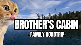 CAT MEMES: FAMILY ROADTRIP BROTHER'S CABIN PT.1