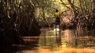 Dominican Republic Paddle Boarding - DR Eco Adventures