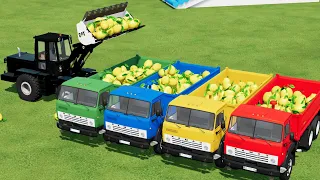 Load & Transport|Lemon Transporting with Truck-Farming Simulator 22