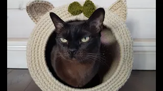 Crocheted cat house from knitted yarn