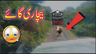 Live Cow hit with fastest train Tezgam near Kharian Cow lost her life crushed under big Locomotive