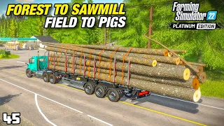 THE PIGS ARE SORTED! GET MORE WOOD TO THE SAWMILL! | FS22 Platinum Edition - Episode 45