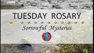 Tuesday Rosary • Sorrowful Mysteries of the Rosary 💜 Small River Rapids