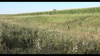 Saturated Buffer Conservation | Ohio Demo Farms